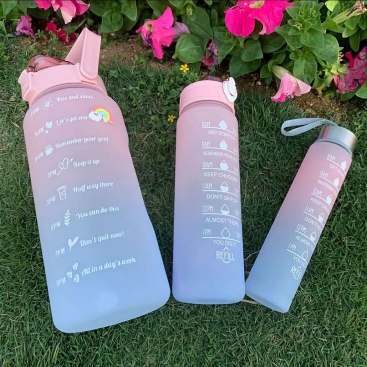 Motivational Water Bottle Set Of 3 pcs